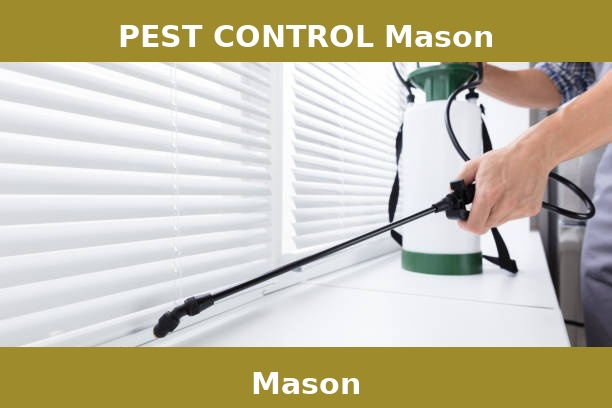PEST CONTROL Mason